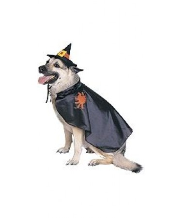 Witch Pet Costume